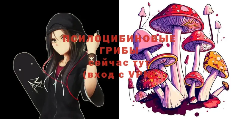 Псилоцибиновые грибы Psilocybe  цена наркотик  Спасск-Рязанский 